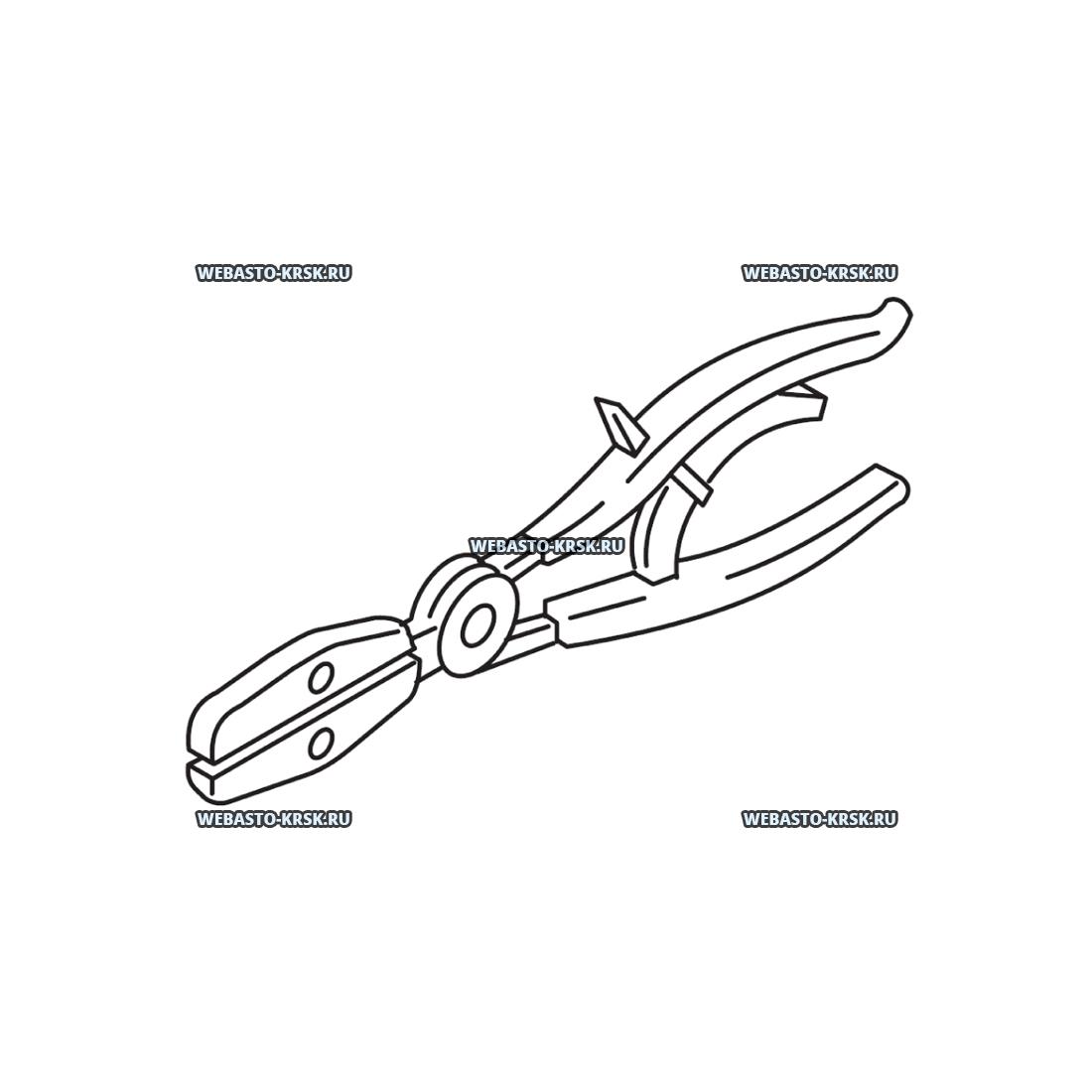 ����� ��� ���������� ������� | �������: 331457